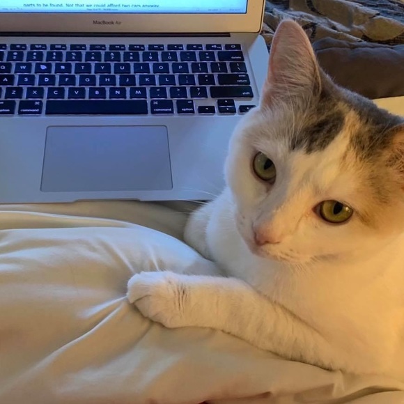 🐈 🐾 Hello! Welcome to come our human closet 🐈🐾 - Picture 10 of 13